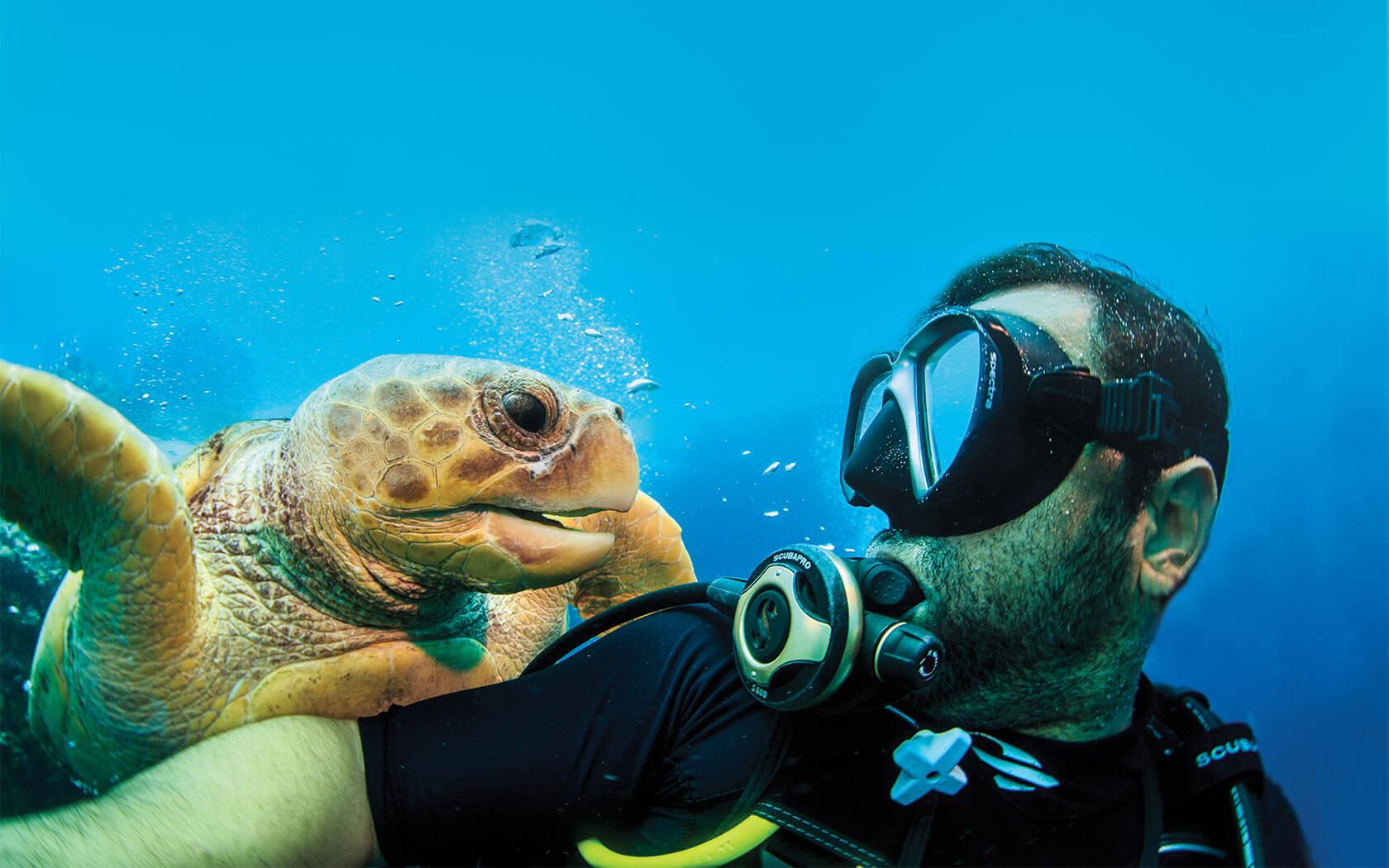 man scuba diving with sea turtle