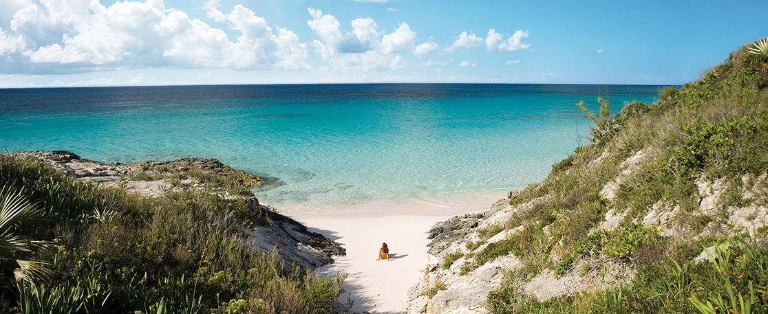 [Image: real-bahamas.jpg]