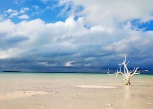 BOI Harbour Island Beach