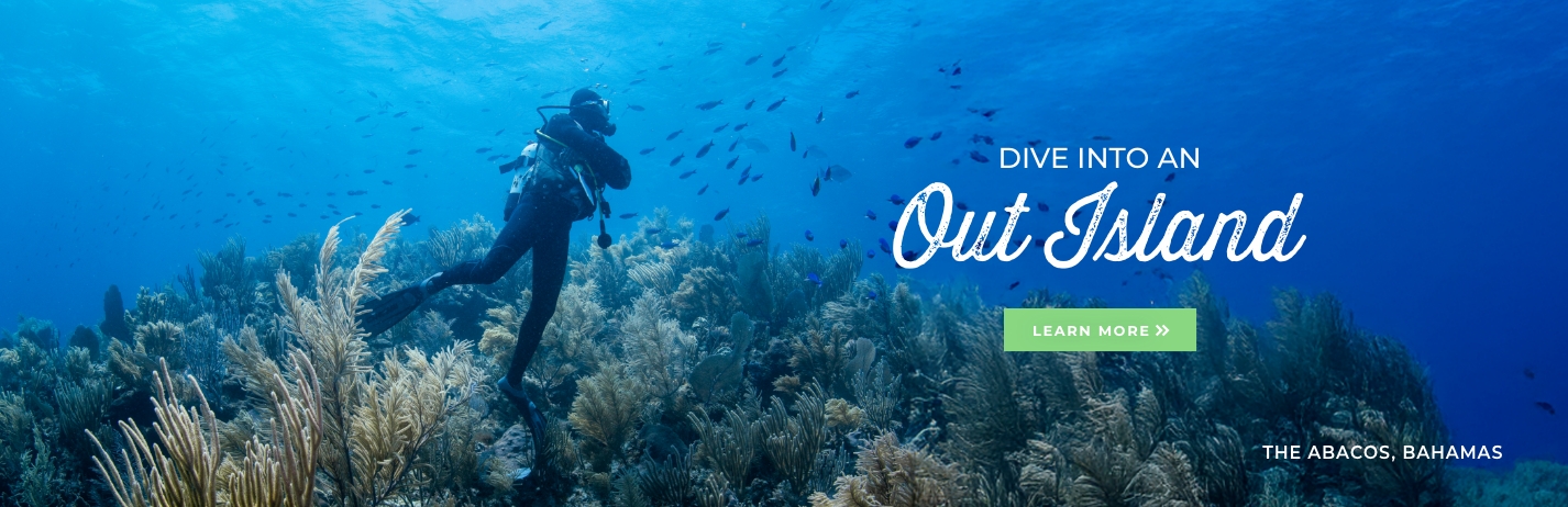 Dive into an out island