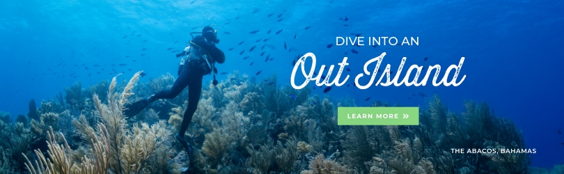 Dive into an out island