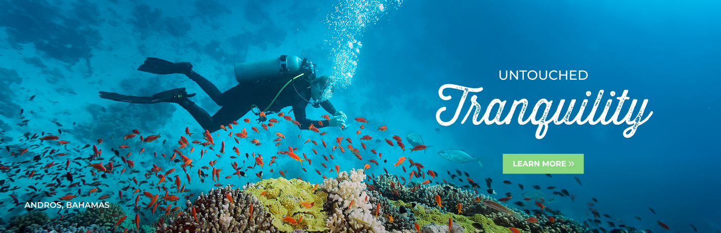 Untouched Tranquility