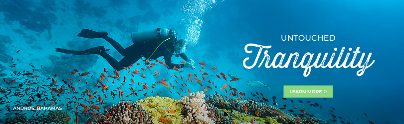 Untouched Tranquility