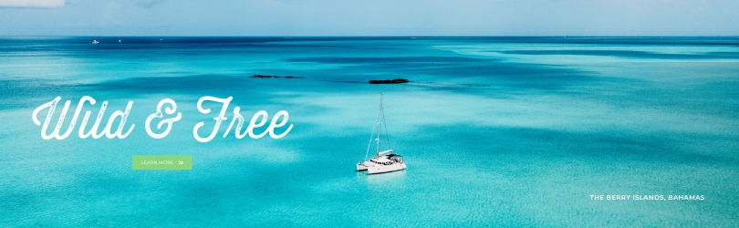 Wild and Free