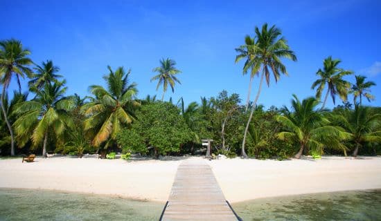Blog | 5 reasons the eco-tourist will love Tiamo Resort | MYOUTISLANDS.COM