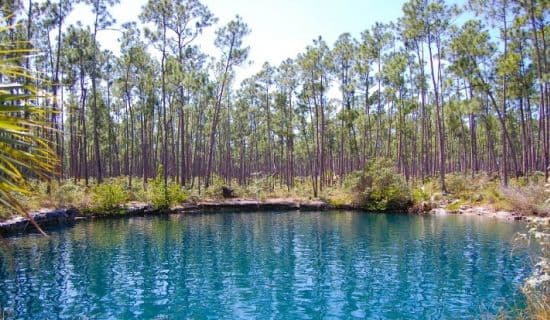 Blog | Things to do at a Bahamian blue hole | MYOUTISLANDS.COM