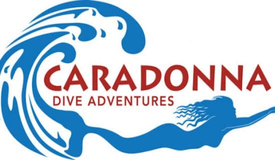 Travel Agents | Caradonna Dive Adventures | MYOUTISLANDS.COM