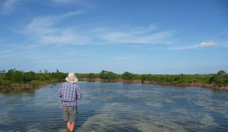 Acklins Creekside Bonefish Lodge | myoutislands.com