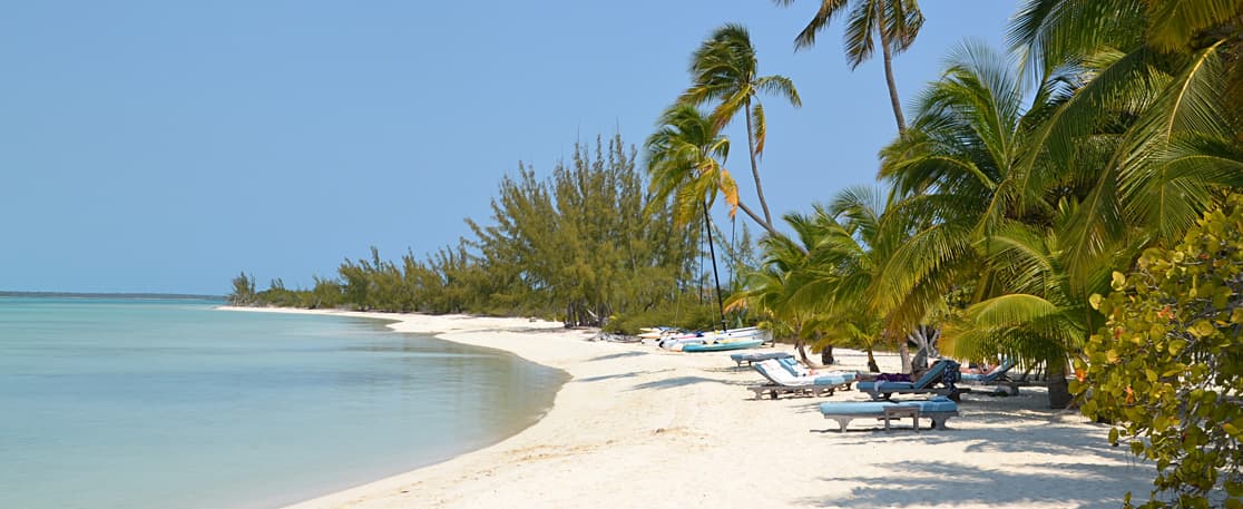 Beaches, Andros