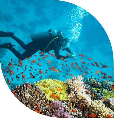 An image of a man and coral