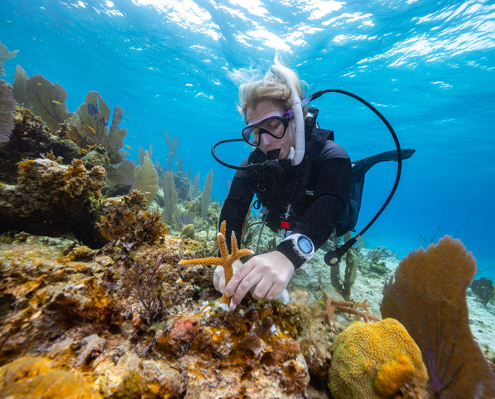 An image of a woman and coral