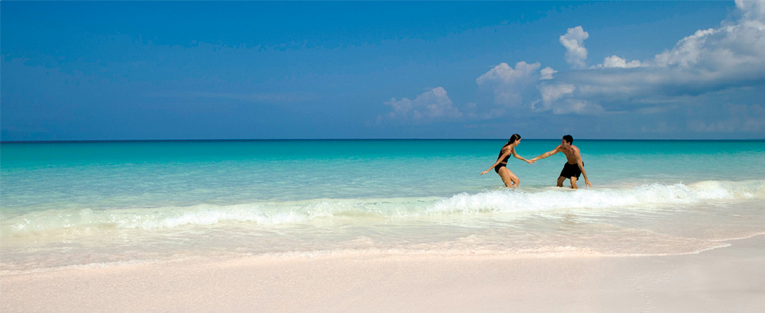 frolic under the sun