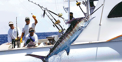 Deep Sea Fishing  The Out Islands of the Bahamas