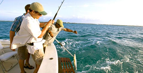 Sport Fishing in Bimini  The Out Islands of the Bahamas