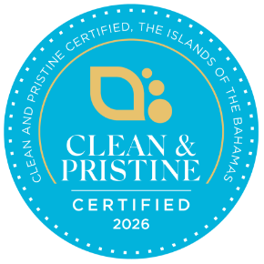 Clean and Prestine 2026 Logo